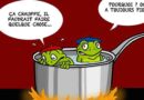 La grenouille qui ne savait pas qu’elle était cuite