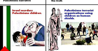 Palestine Mensonges