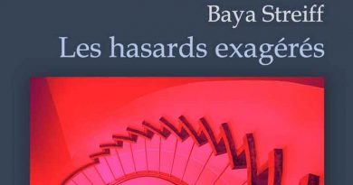 Baya Streiff Hazards Exagérés Logo