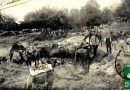 Les Kabyles accueillent 12.000 Arabes durant la famine de 1867